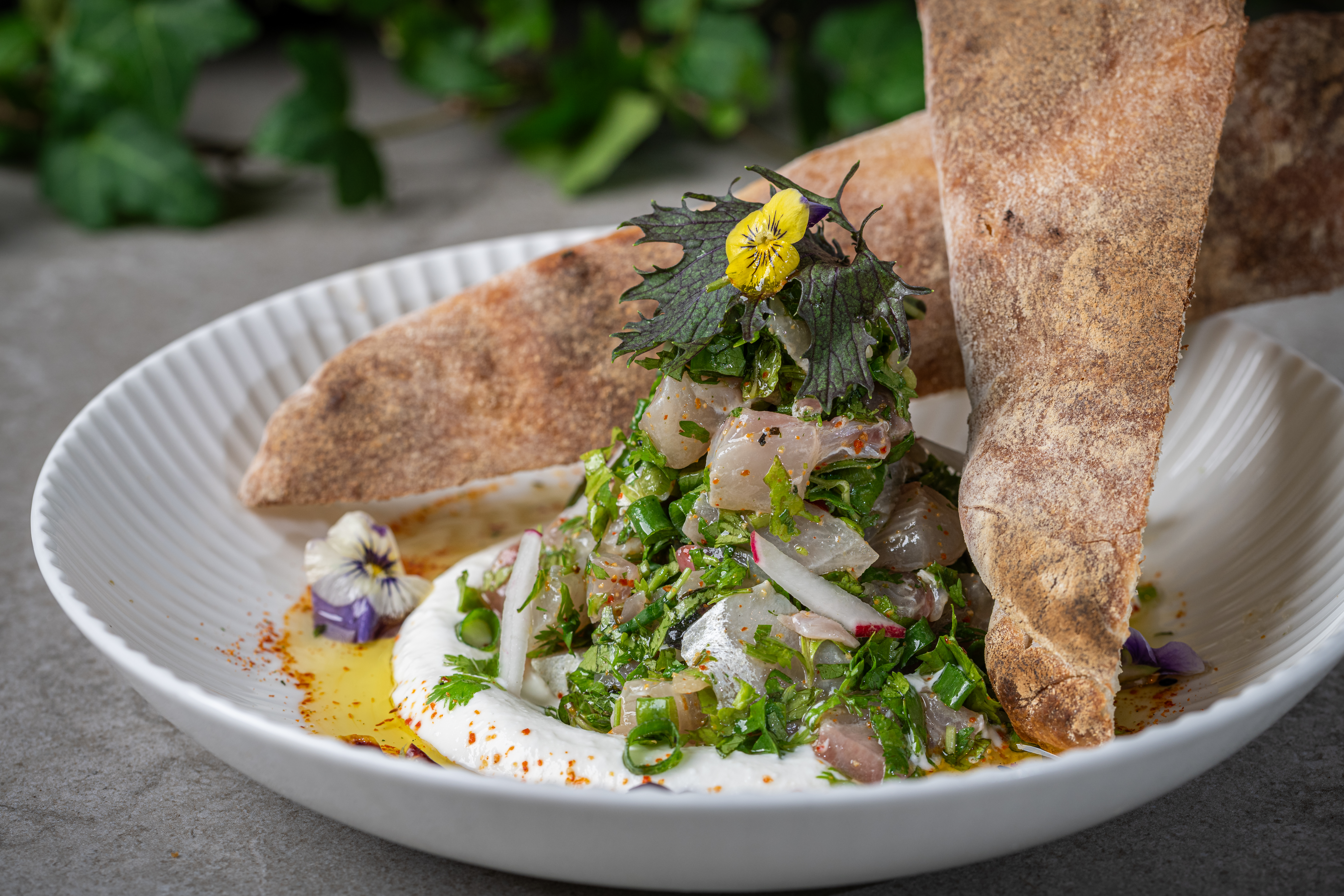 סביצ׳ה אינטיאס — צילום מעמוד המקור